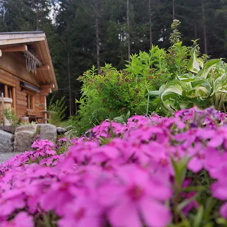 Chalet - - Lechtraum